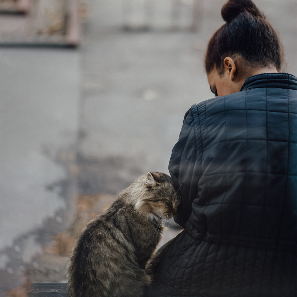 Violencia Interrelacionada y Maltrato Animal