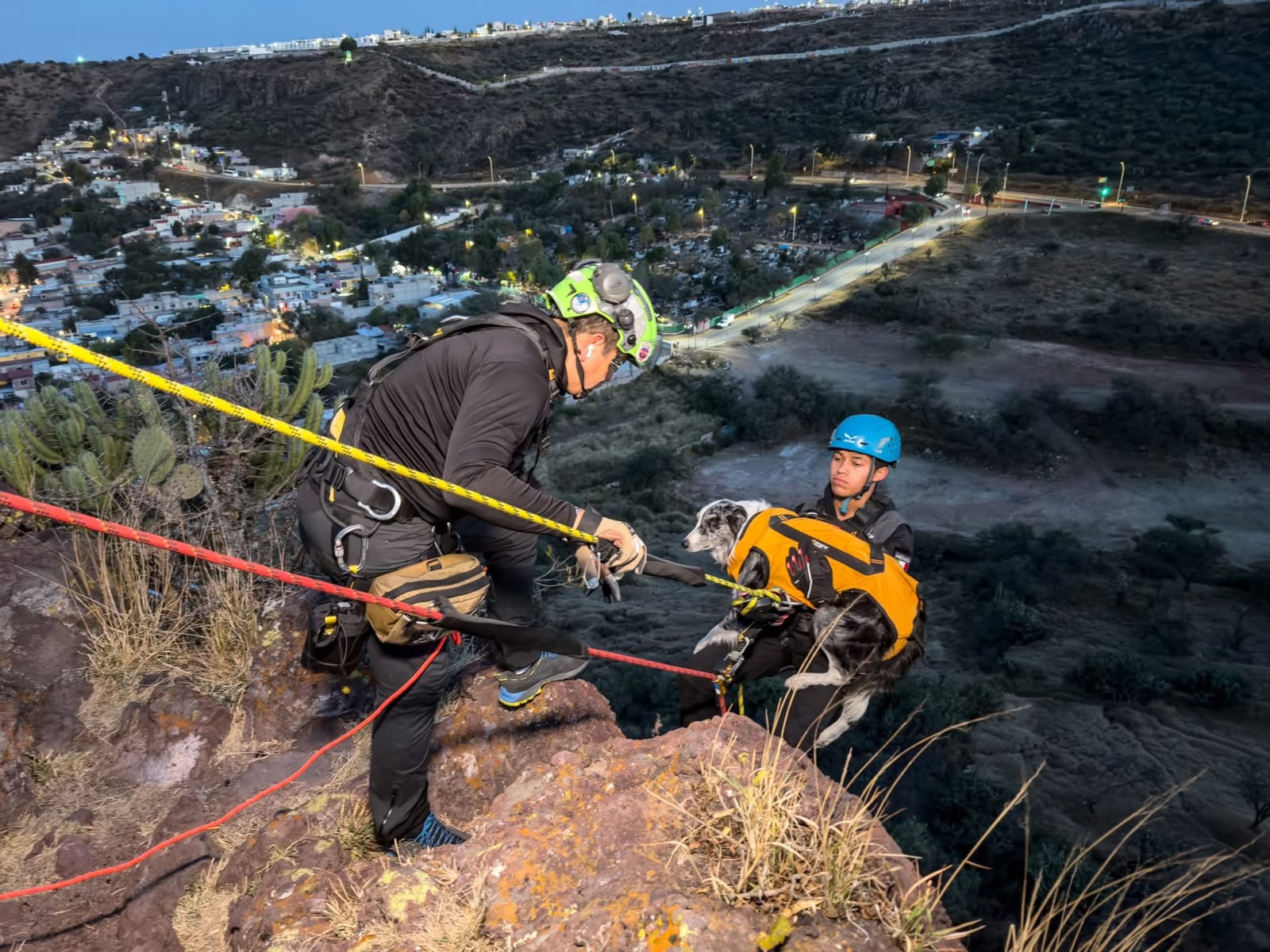 Entrenamiento en Rescate con Cuerdas aplicado a Protección y Bienestar Animal